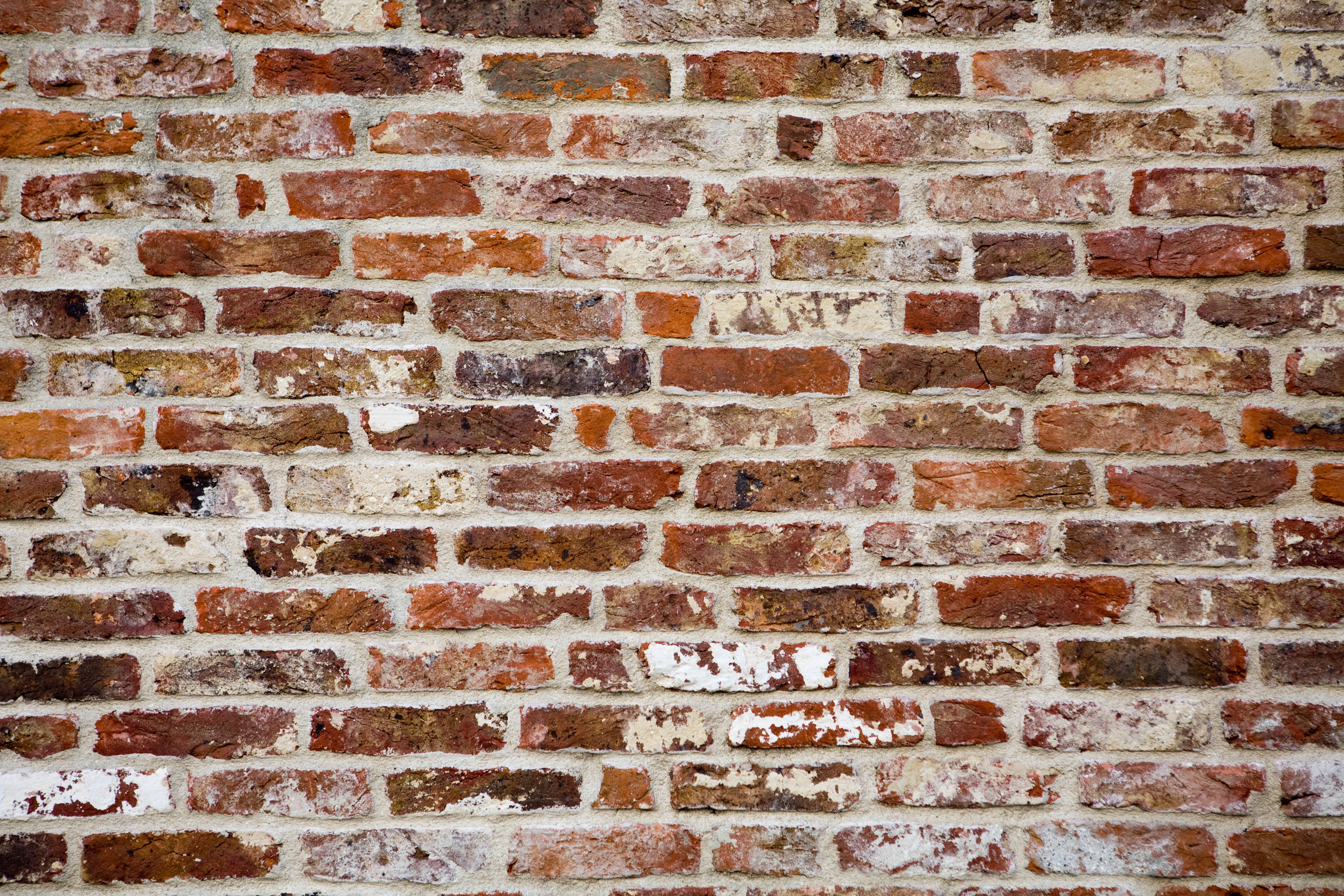 Background texture close up brick wall